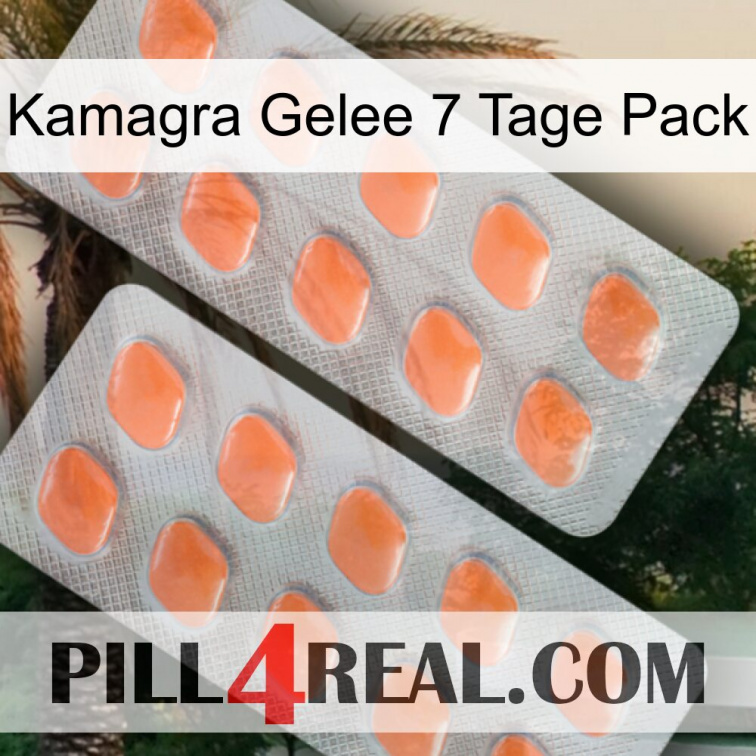 Kamagra Jelly 7 Day Pack 27